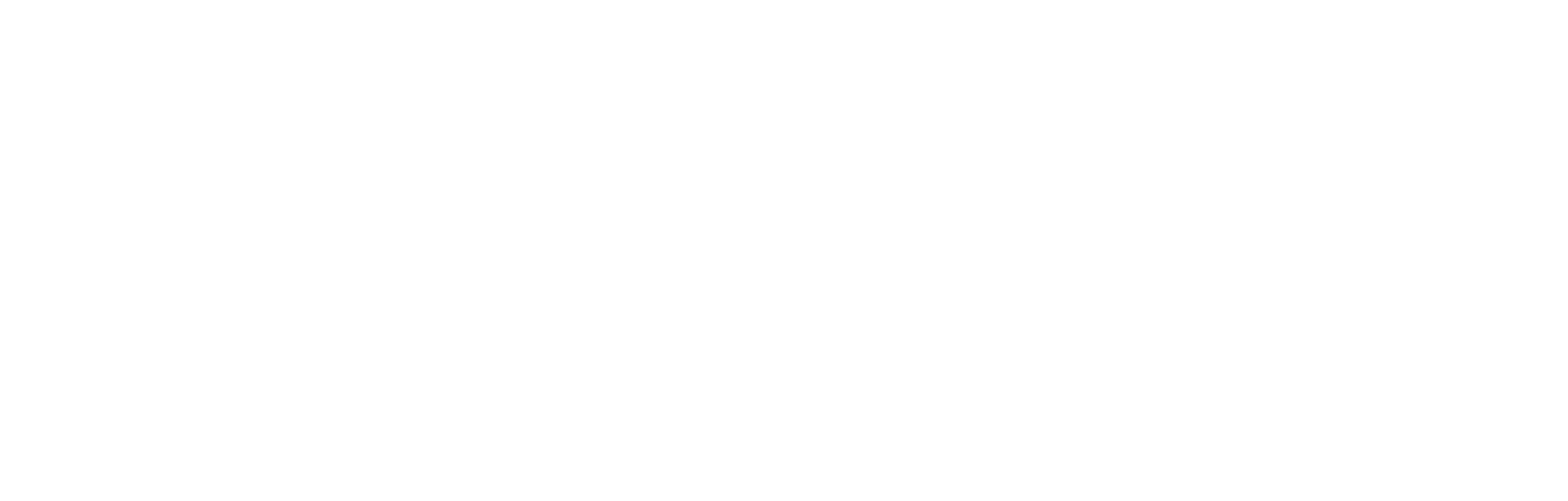 Bichler_Hausgeraete_Logo.png
