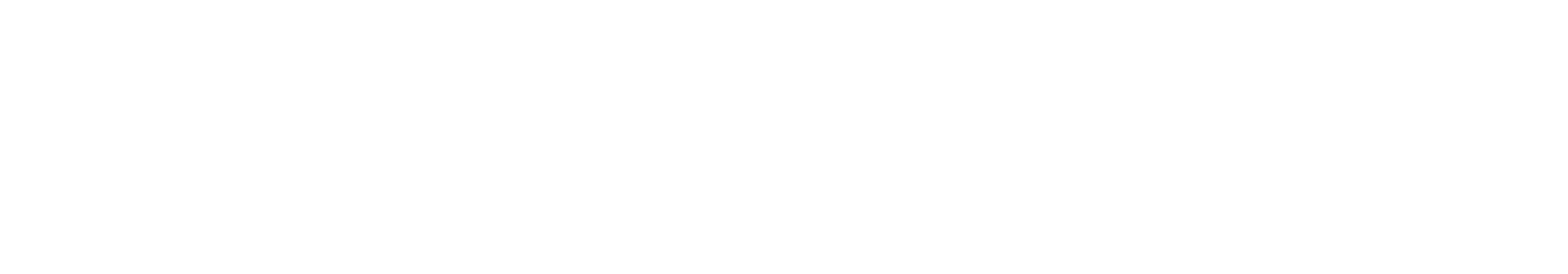 Störilicht Logo 1.png